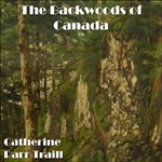 Backwoods of Canada