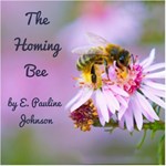 Homing Bee