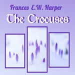 Crocuses