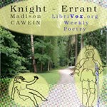 Knight - Errant