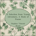 Young Adventure, A Book of Poems