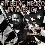 On Being Negro in America