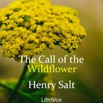 Call of the Wildflower