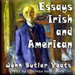 Essays Irish and American