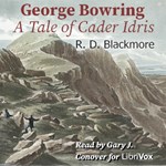 George Bowring - A Tale Of Cader Idris