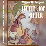 Little Joe Otter