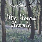 Forest Reverie