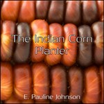 Indian Corn Planter