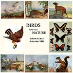 Birds and all Nature, Vol. IV, No 3, September 1898